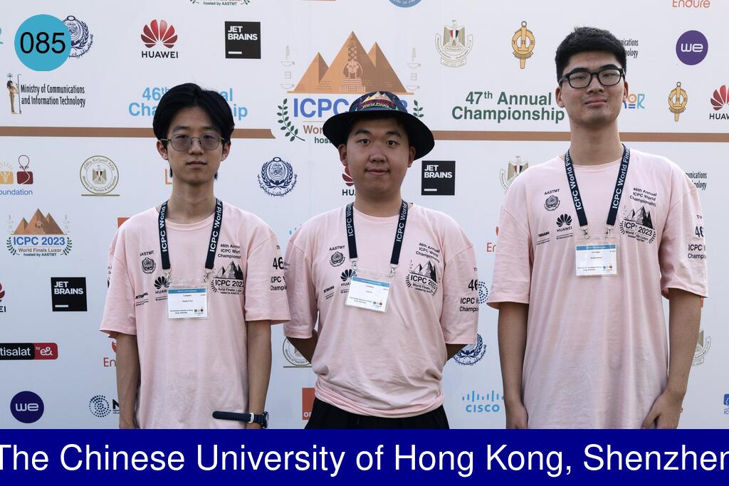 Picture of team The Chinese University of Hong Kong, Shenzhen