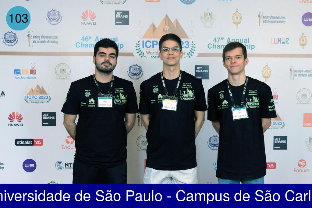 Picture of team Universidade de São Paulo - Campus de São Carlos