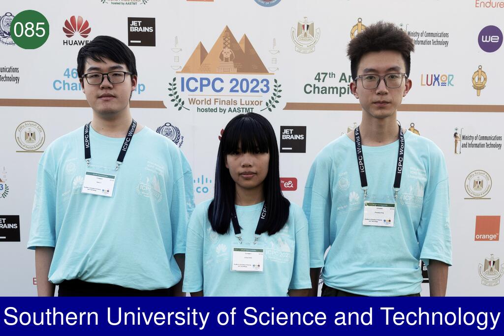 Picture of team Southern University of Science and Technology